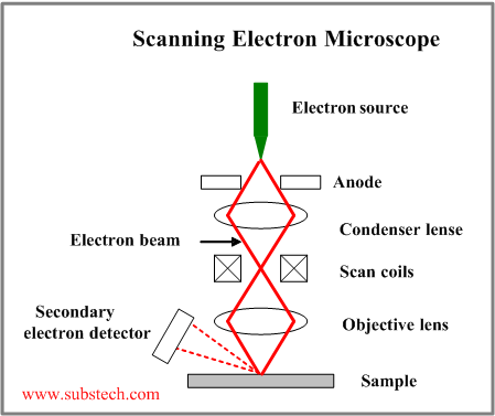 electron_microscope.png
